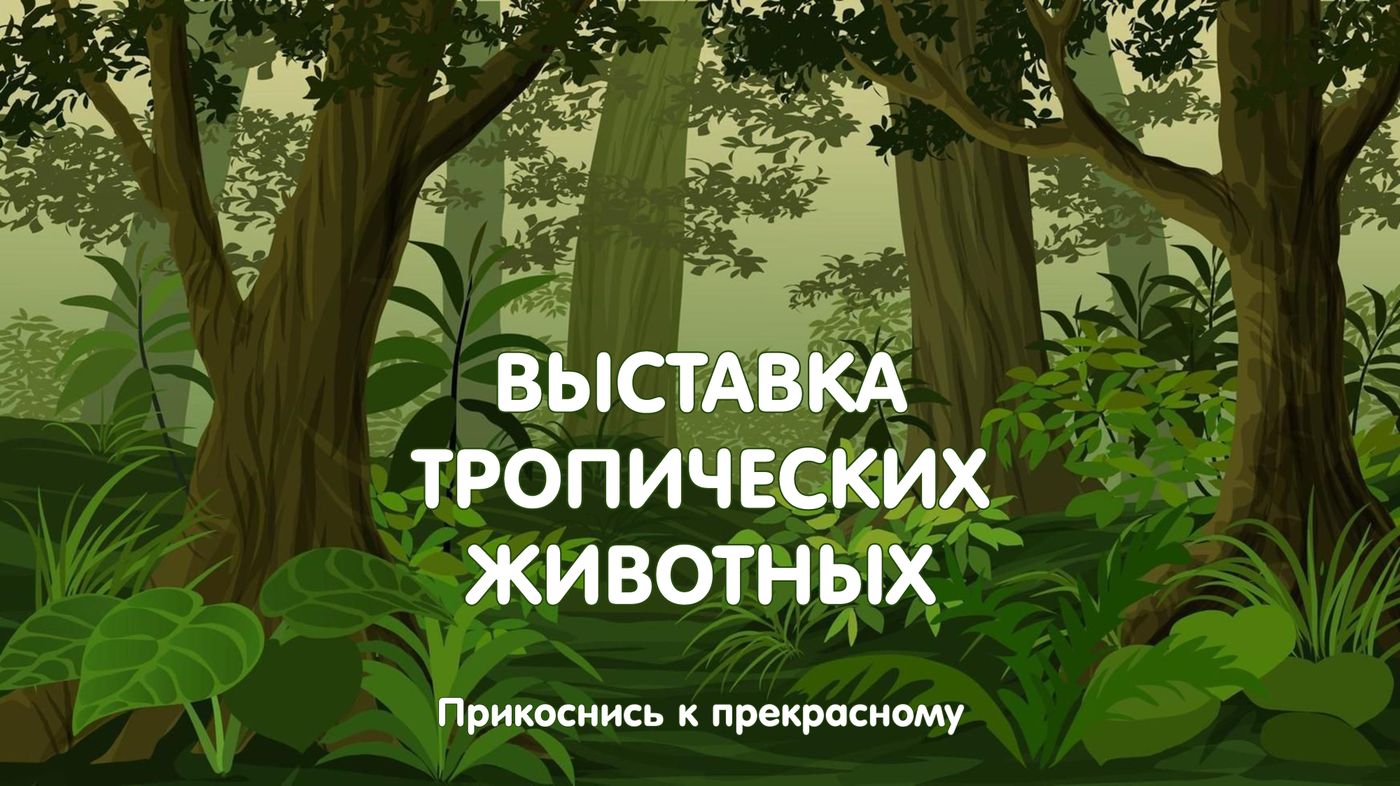 Выставка рептилий