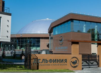 Дельфиния