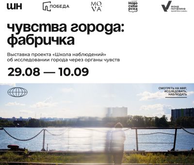 шн афиша веб