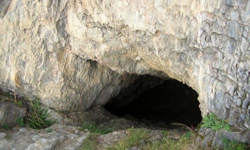Барсуковская пещера главное фото